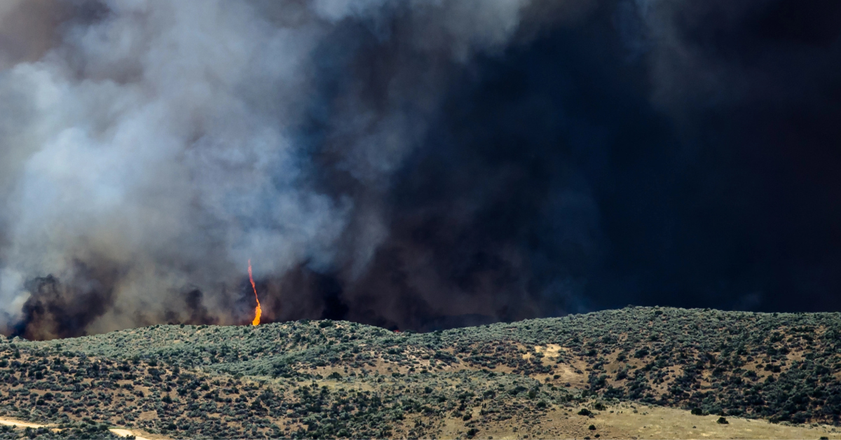 Apokalyptische Szenen in Ventura County: Über 10.000 durch Bergfeuer evakuiert