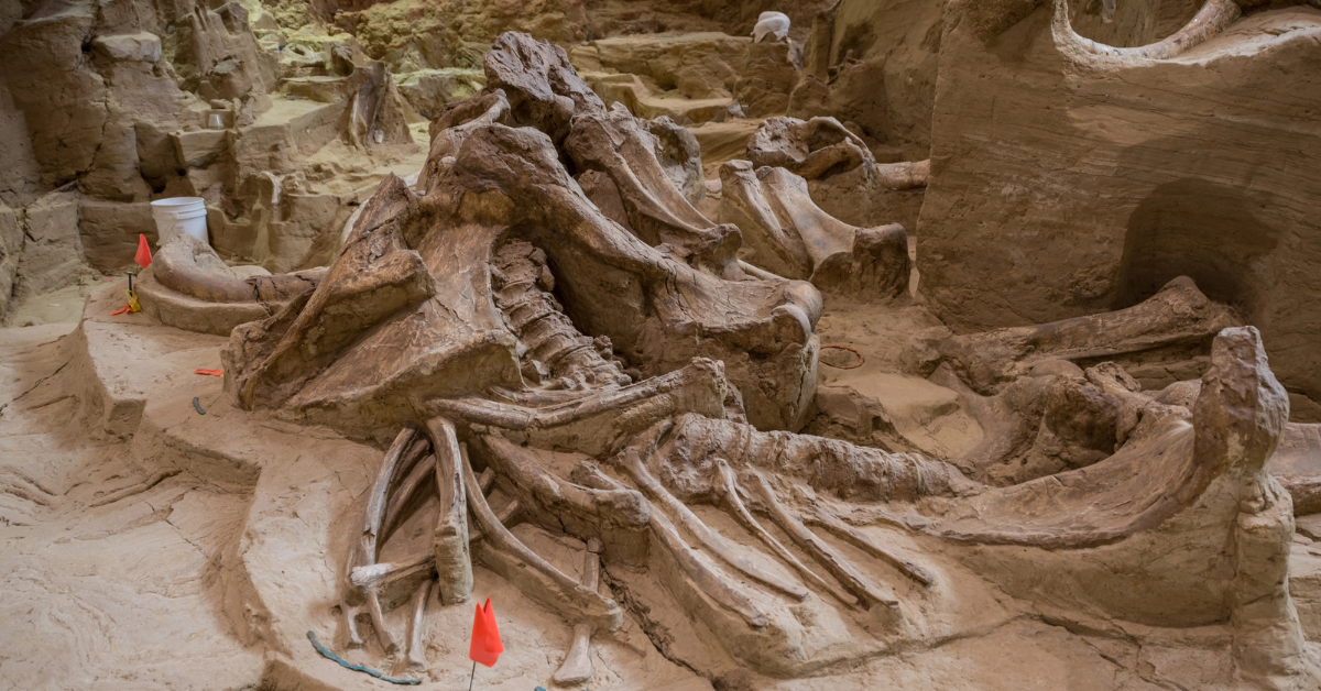 Archäologen sind fassungslos, nachdem die Entdeckung von Wyoming das Geheimnis dazu verpflichtet hat, wie früheste Amerikaner die letzte Eiszeit überlebt haben