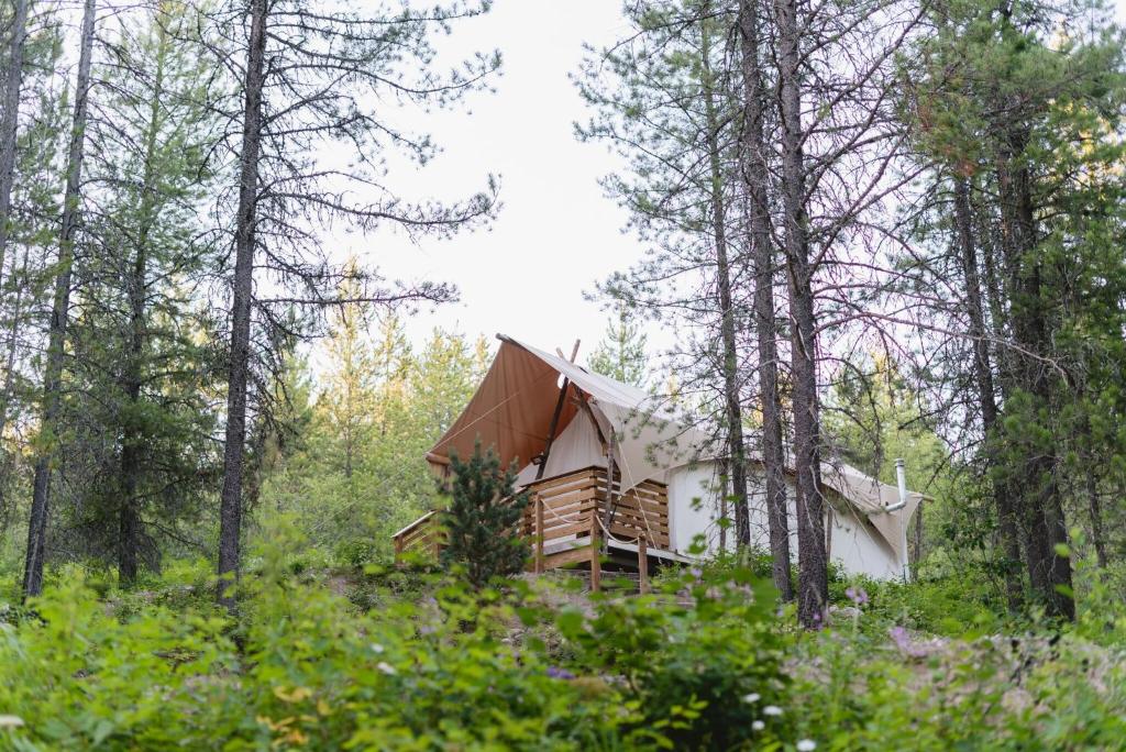 Ein Blick auf alle 14 unter Canvas 