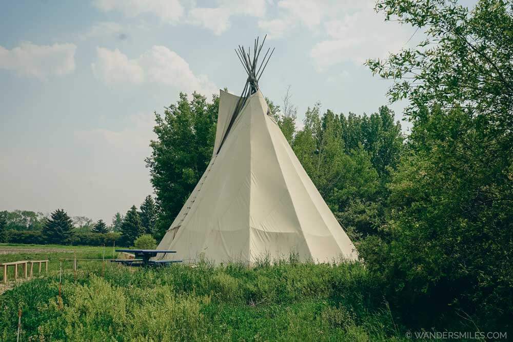 Erforschung einheimischer Edmonton: Was ich gelernt und geliebt habe