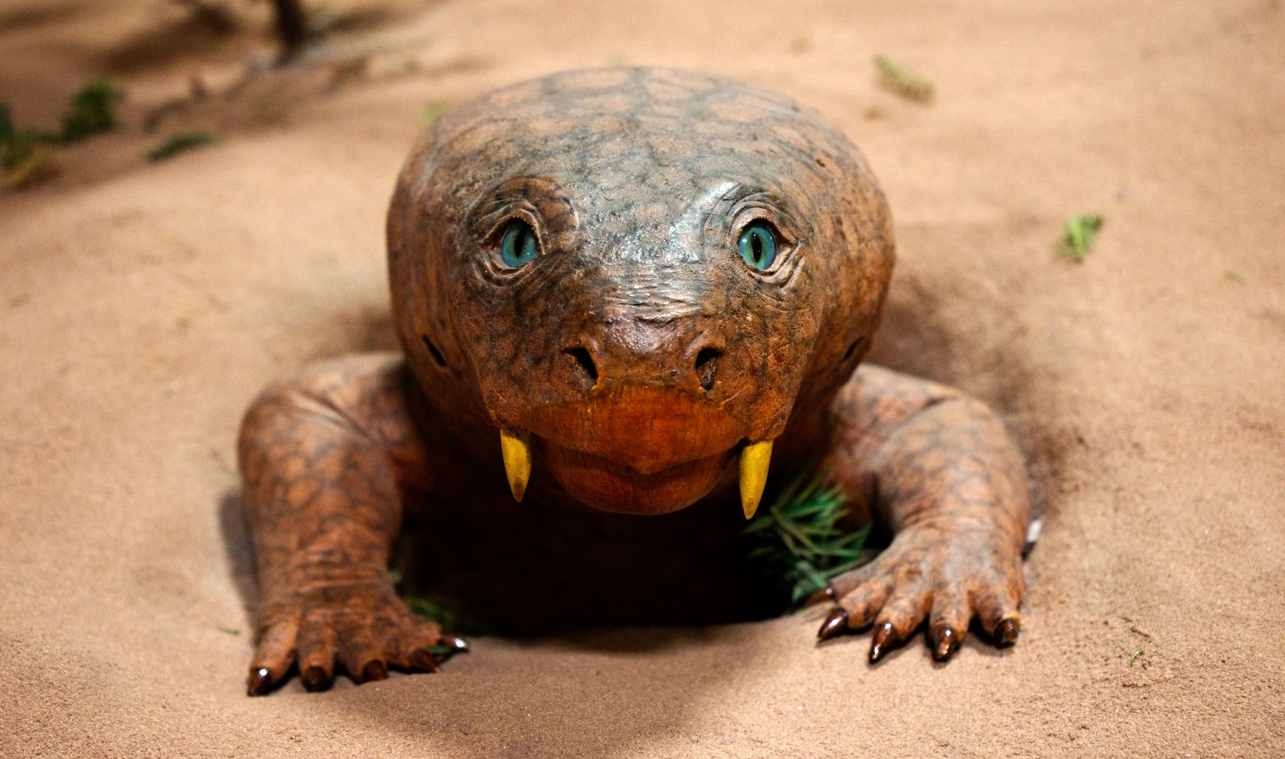 Alte Graffiti enthüllt eine mögliche Verbindung zu einer 280 Millionen Jahre alten lang verlorenen Kreatur