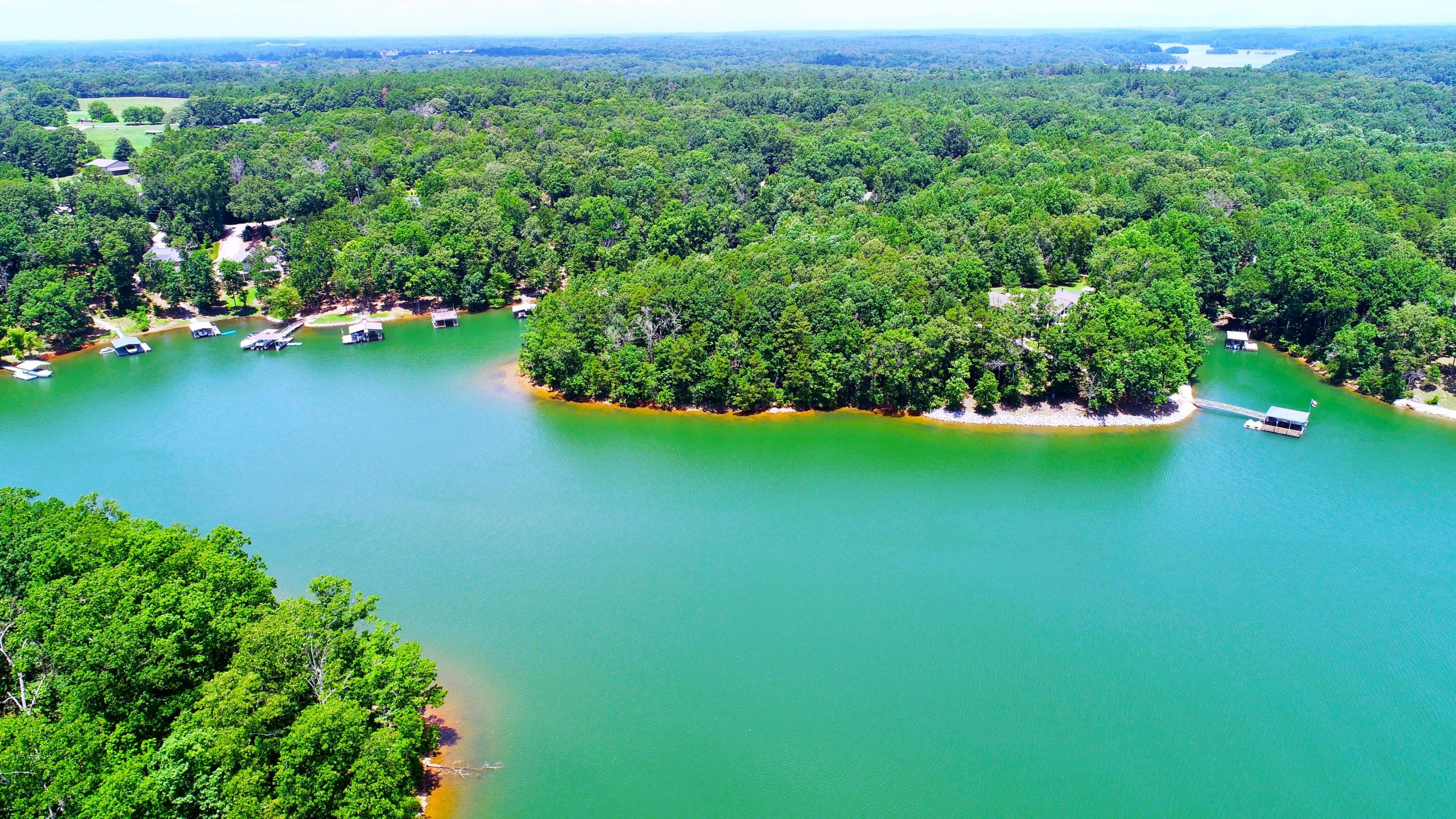 Einer der am meisten von Schlangen befallenen Seen Amerikas ist einer der beliebtesten des Südostens des Südostens