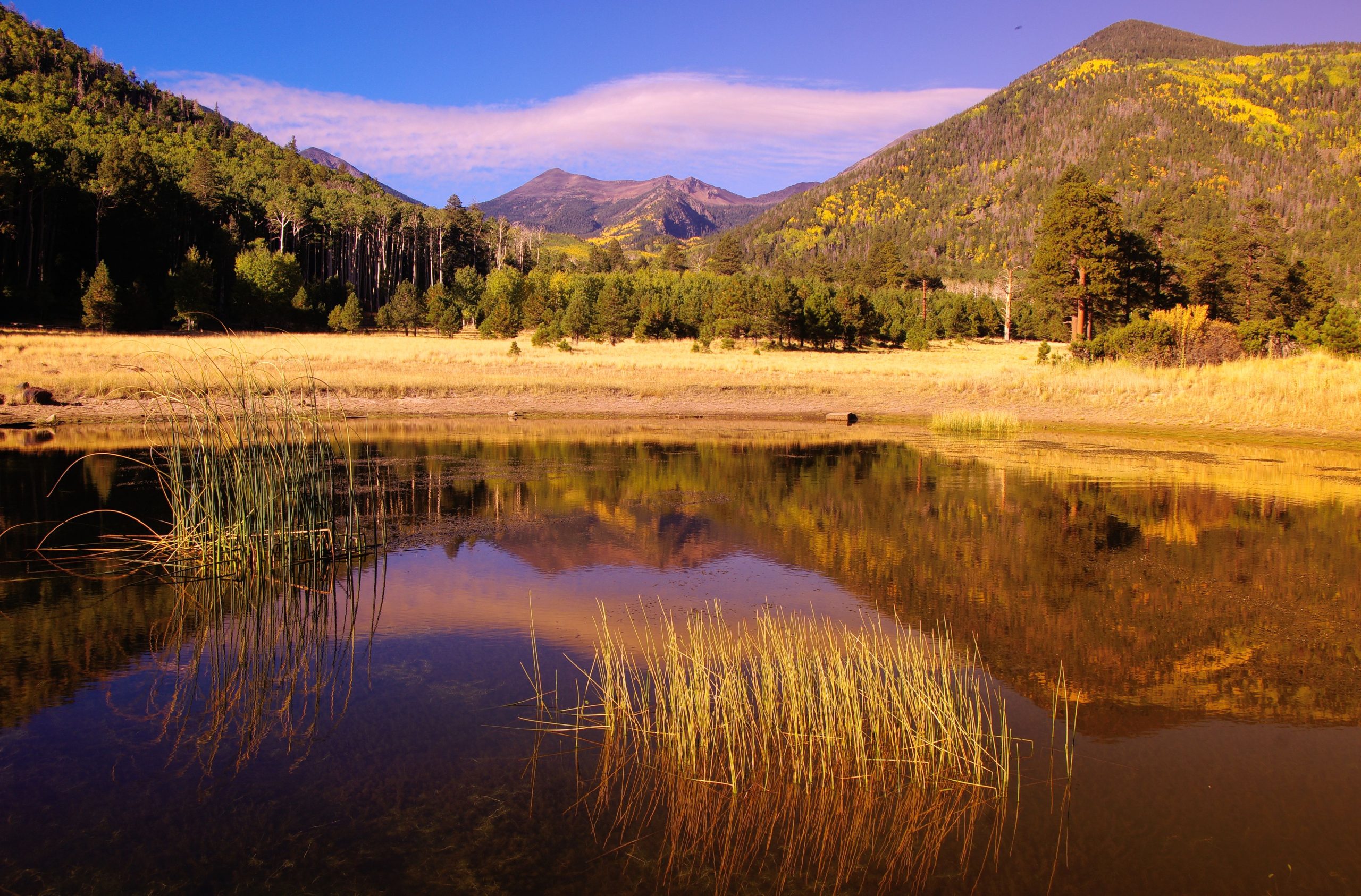 Der beste Berg, um in Arizona zu wandern, ist nicht wirklich Camelback