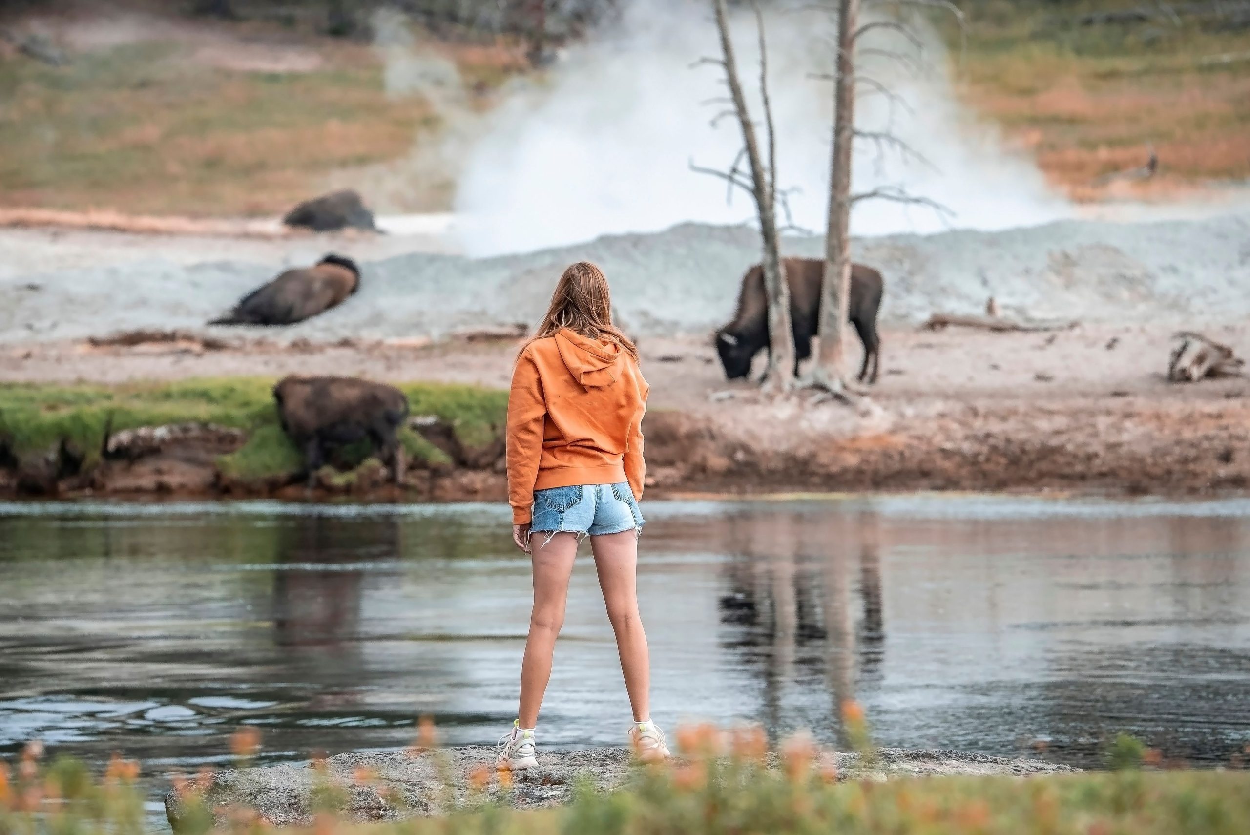Yellowstone ist kein Streichelzoo: rücksichtslose Besucher haben das riskierte, ihr Leben zu riskieren, wird fast eine entscheidende Lektion beigebracht