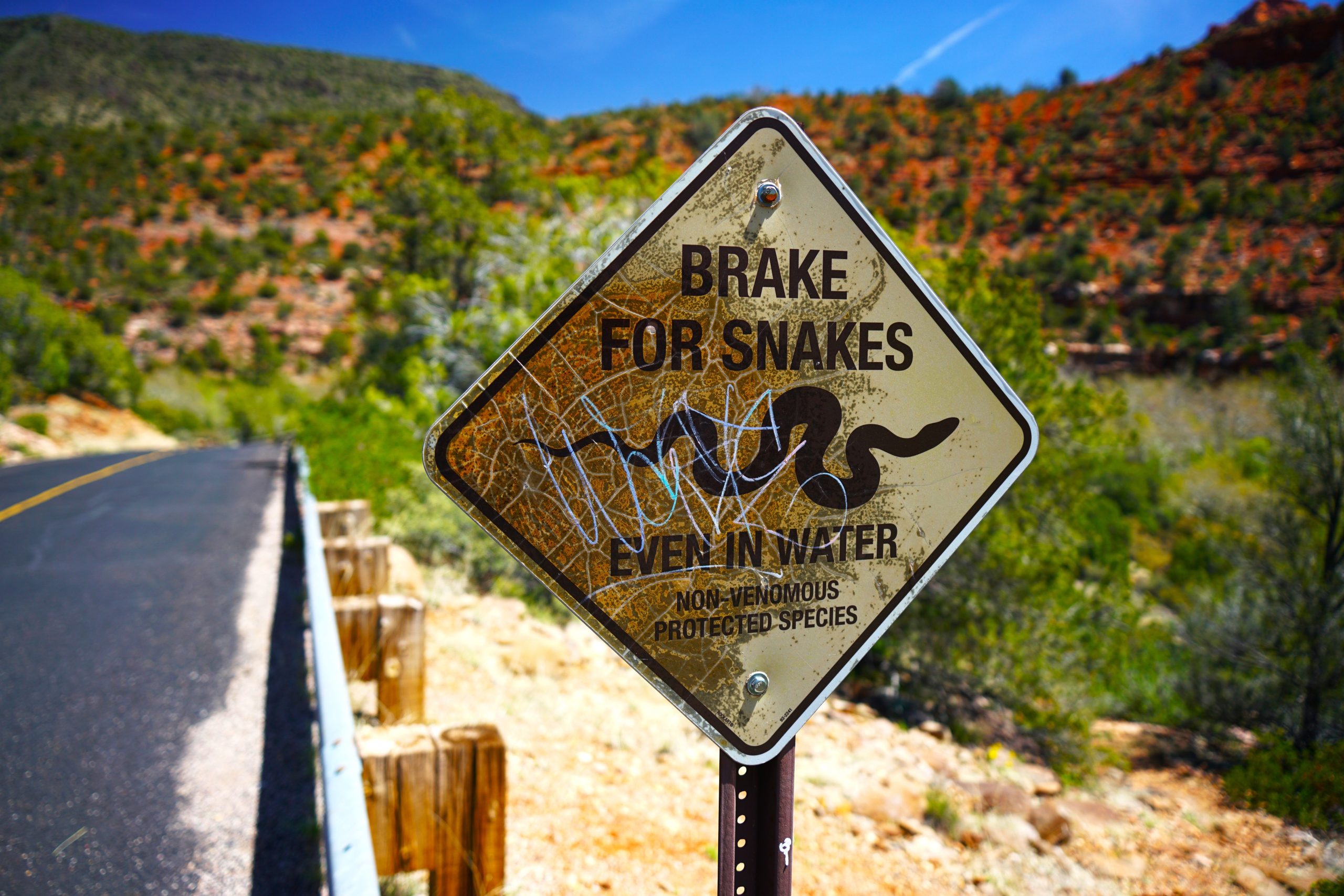 Einer der am meisten von Schlangen befallenen Staaten Amerikas ist eines der am meisten unterschätzten Touristenziele