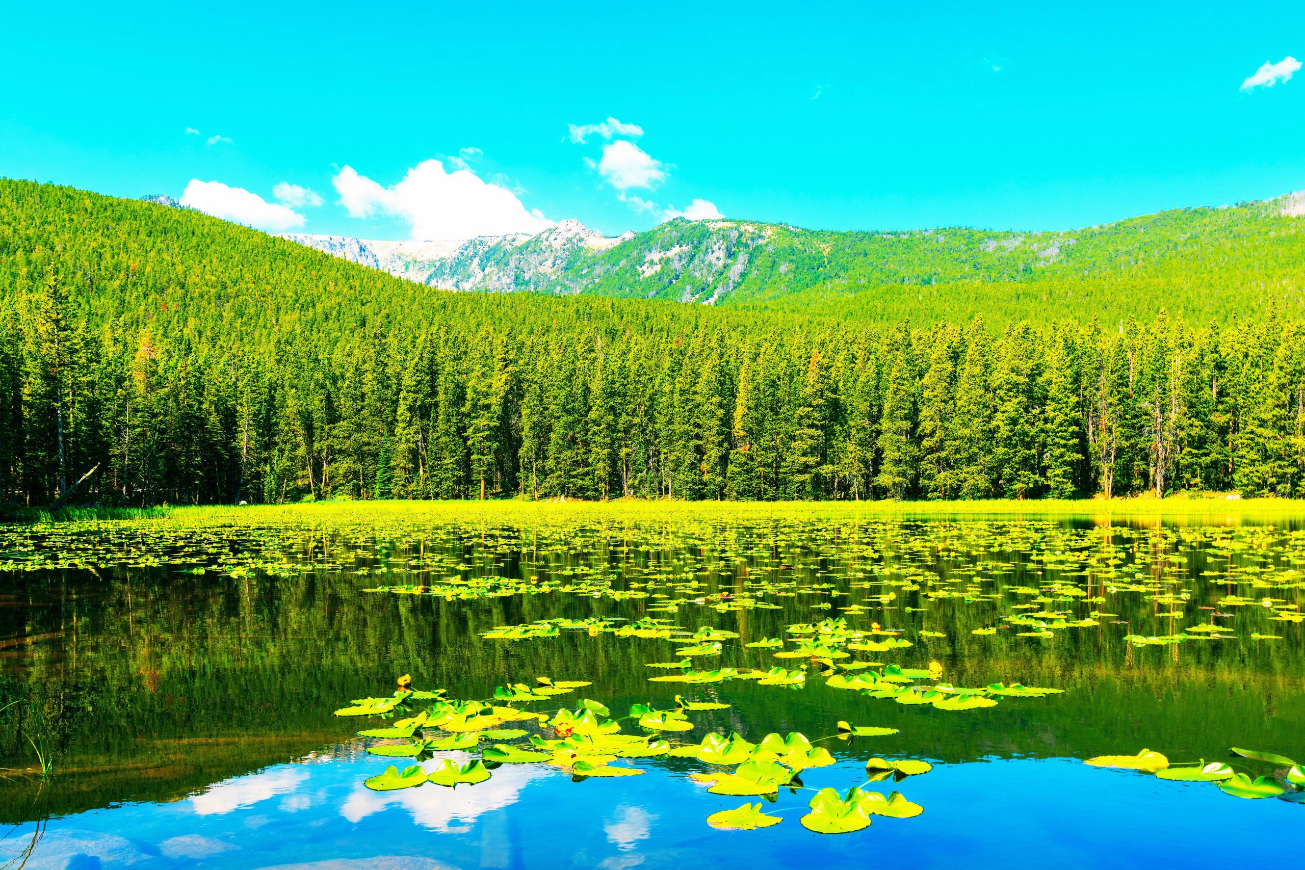 Montanas schönster Ort ist offiziell dieses unterschätzte abgelegene Wunderland