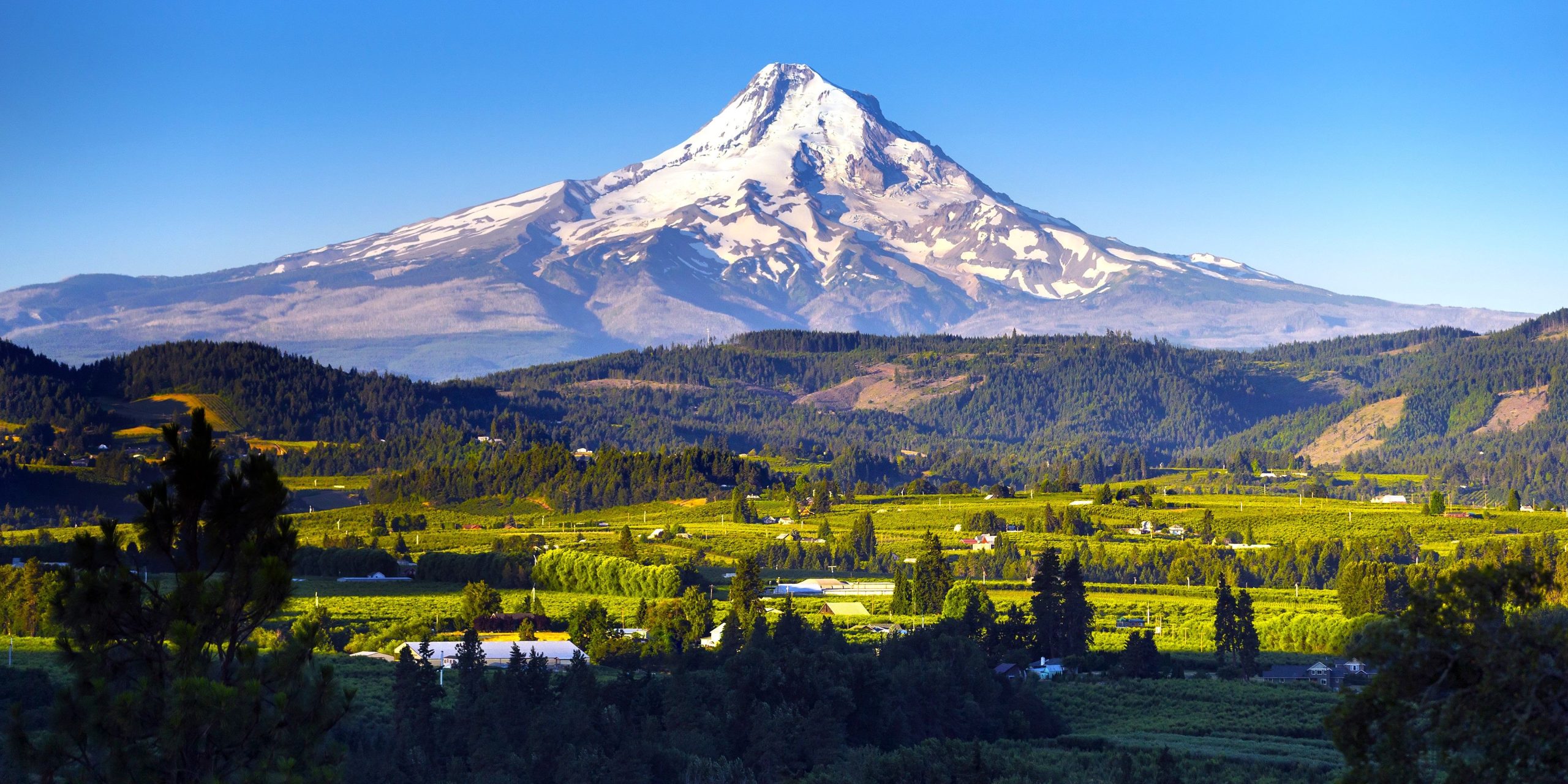 Scenic, aber unterschätzt: Diese Stadt Oregon ist die perfekte Alternative Portland
