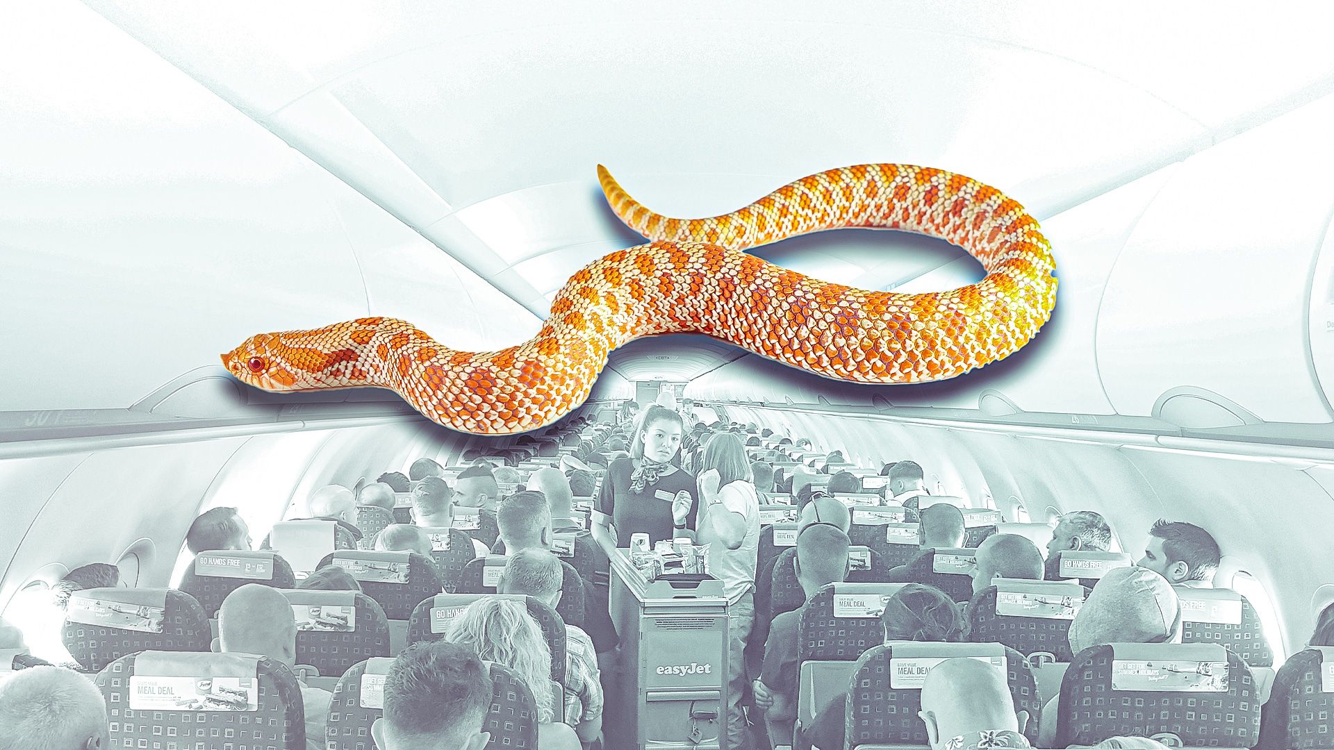 Als ein Easyjet Airbus A320 nach Marokko nach Portugal nach einem Passagierschlangen abgeleitet wurde