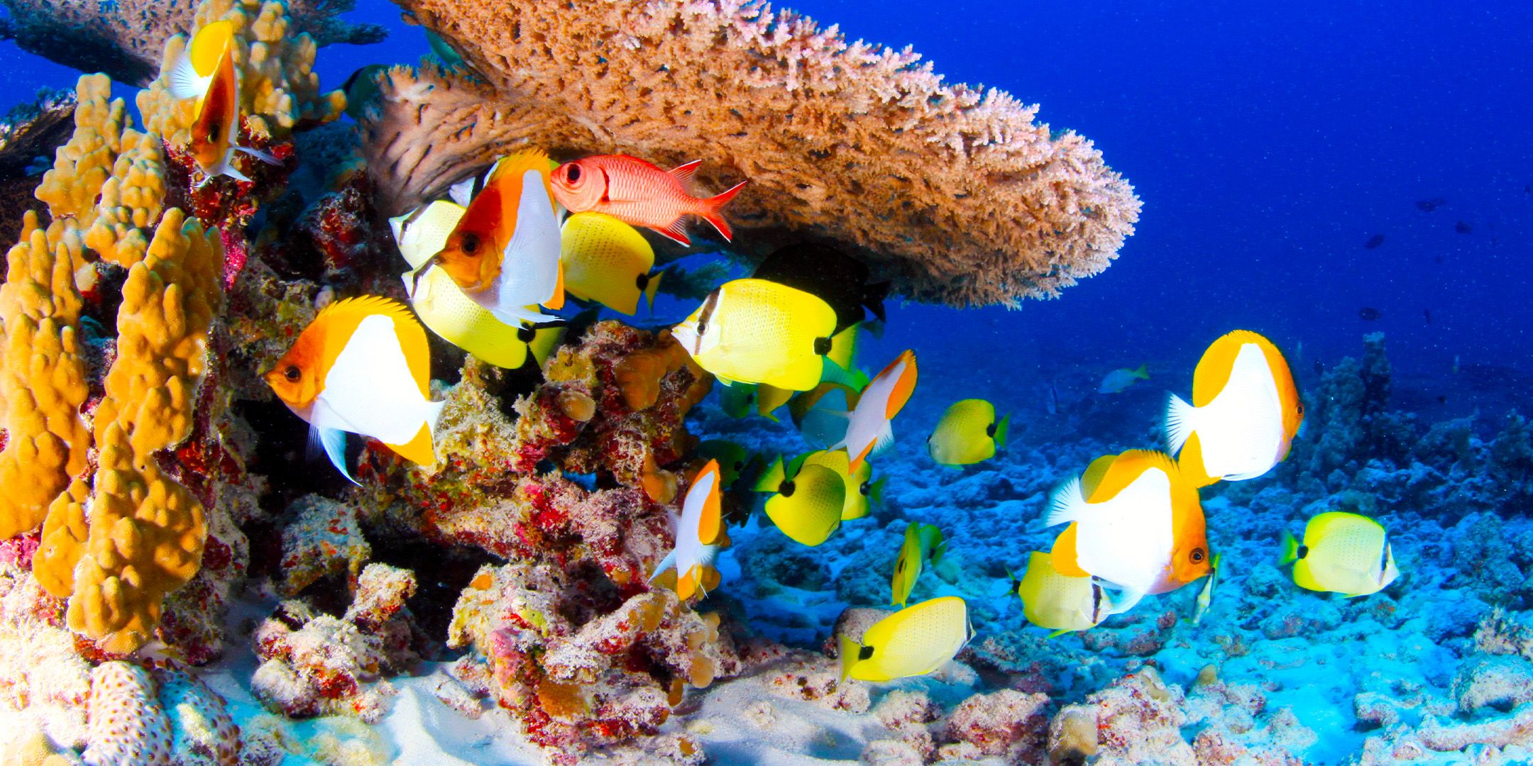 Amerikas größter Nationalparkplatz ist ebenfalls unmöglich zu besuchen