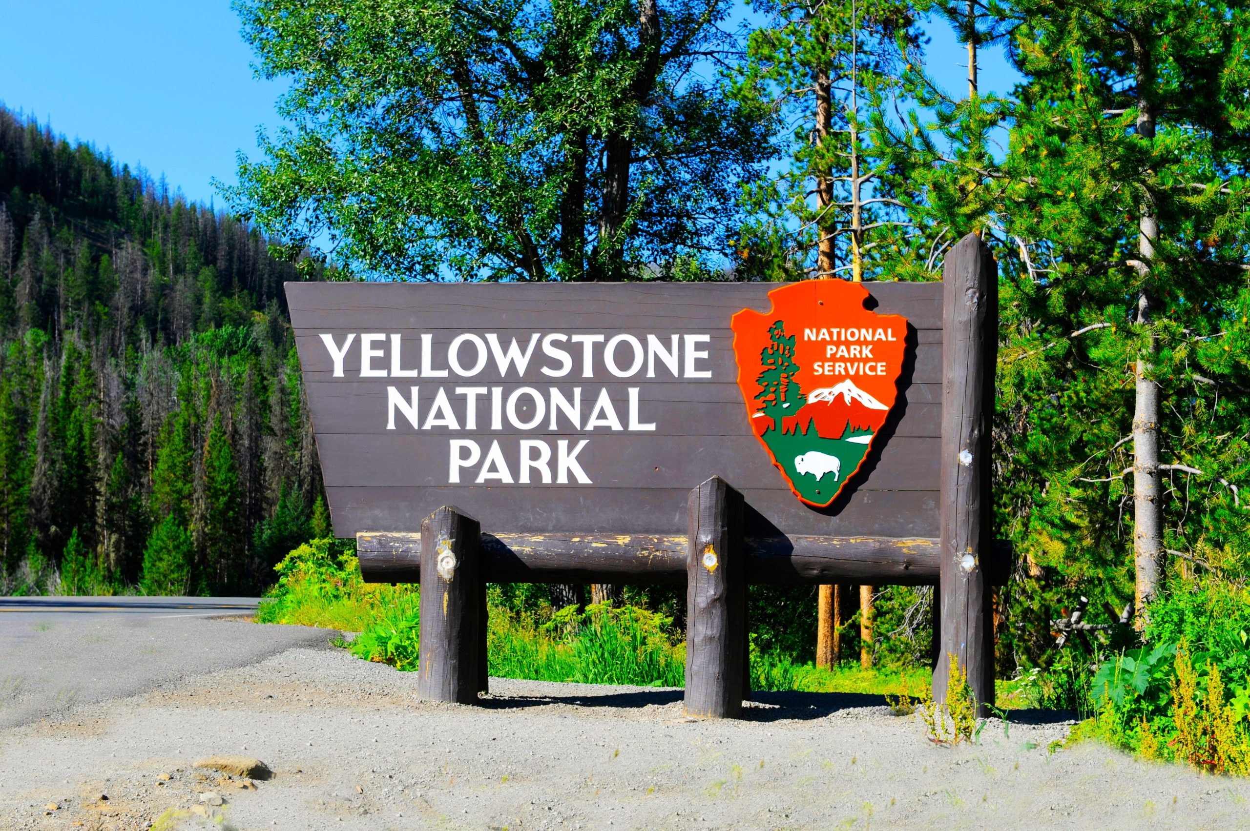 Der Besucher von Yellowstone National Park teilt die düstere Realität, an einem Dienstag in den Park zu betreten
