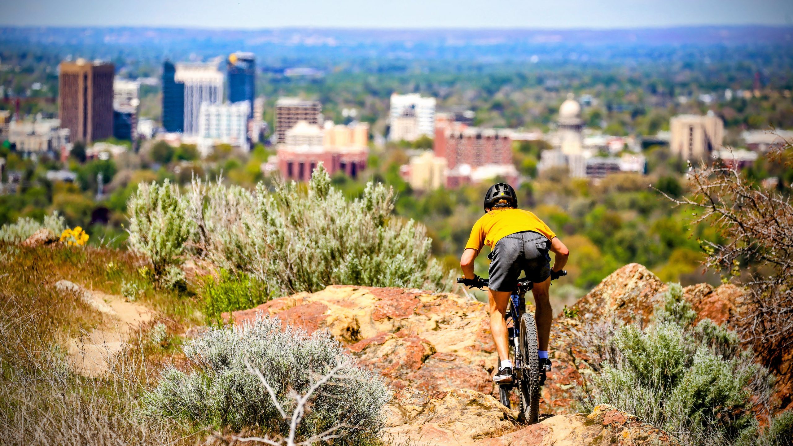 Dieses erschwingliche Denver 