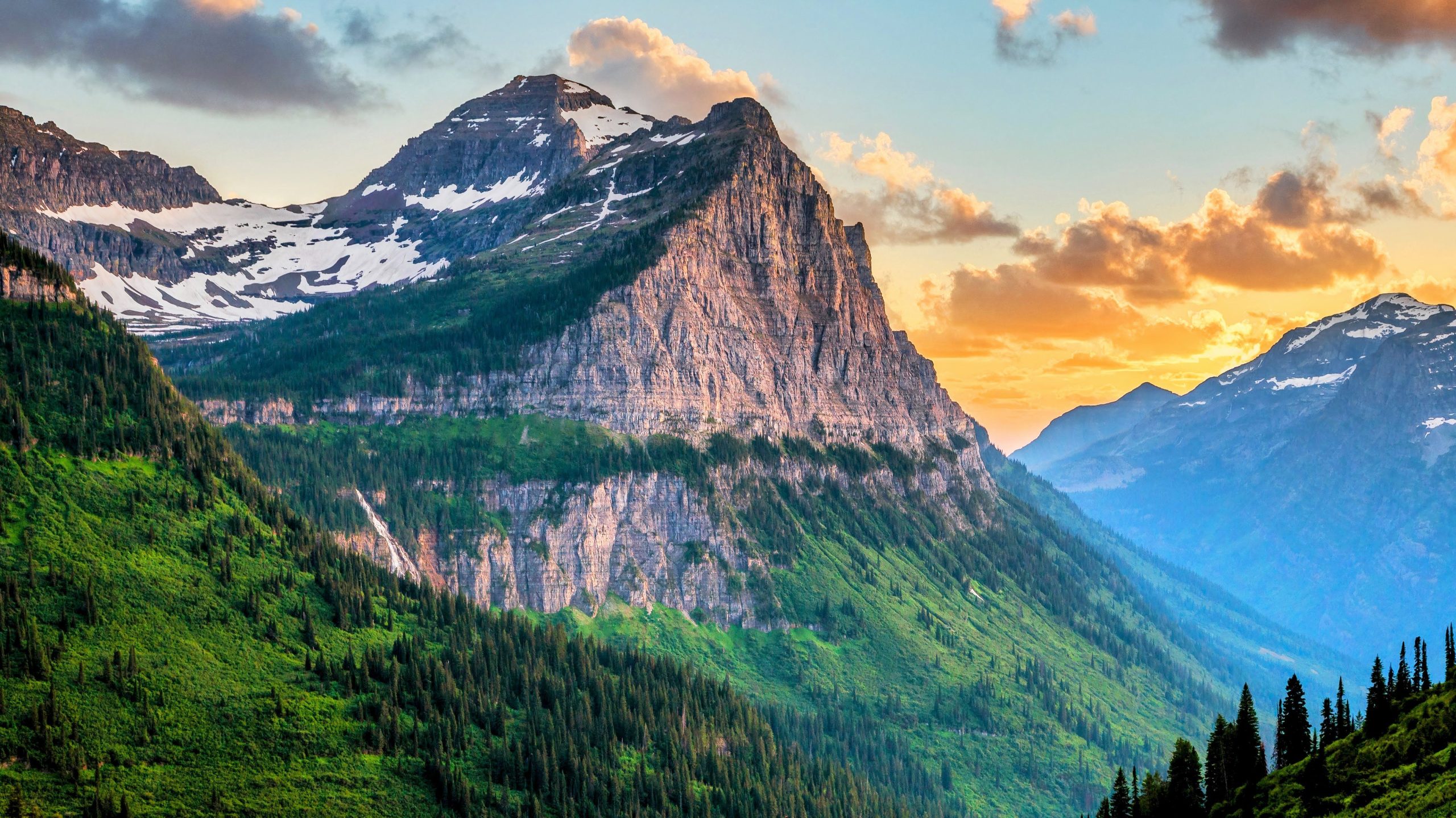 Jeder spricht über Yellowstone 