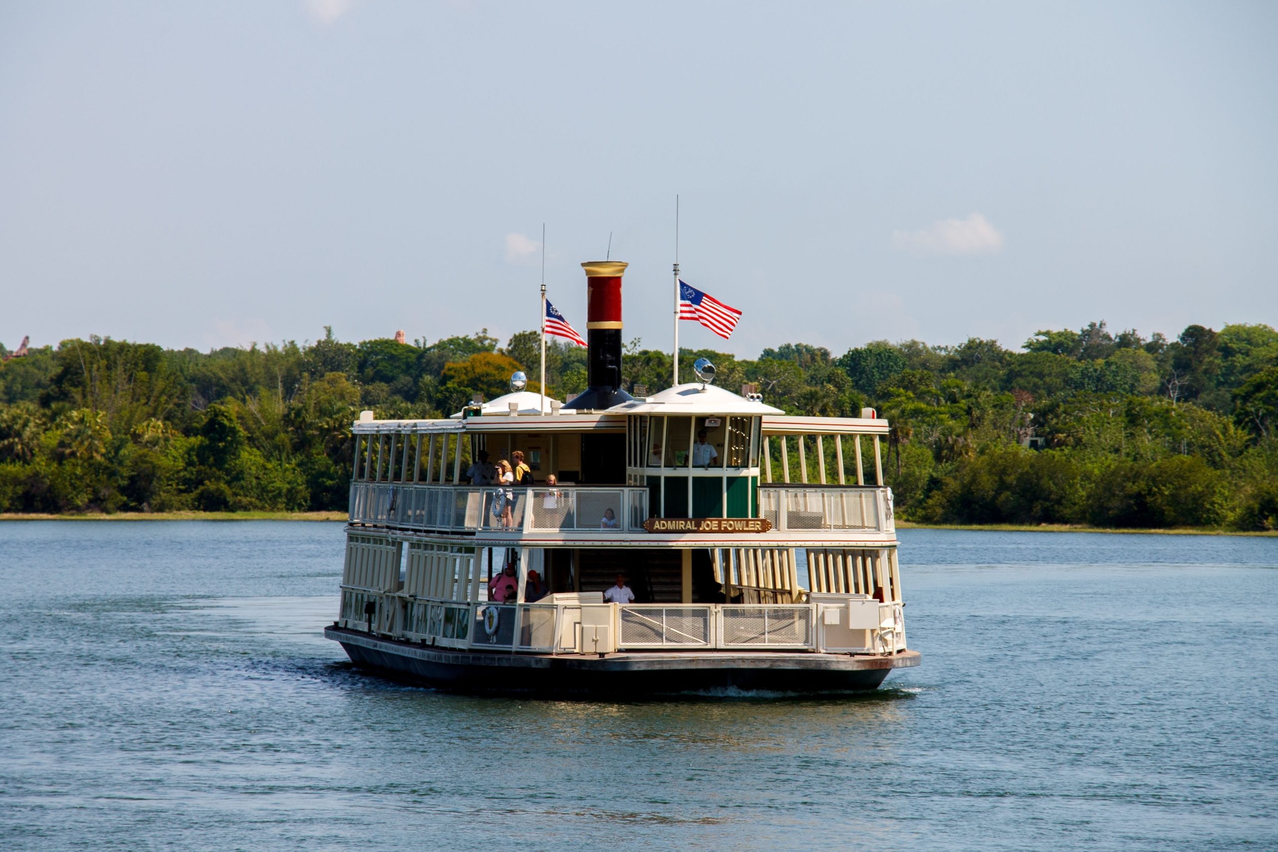 Die Besucher der Disney 