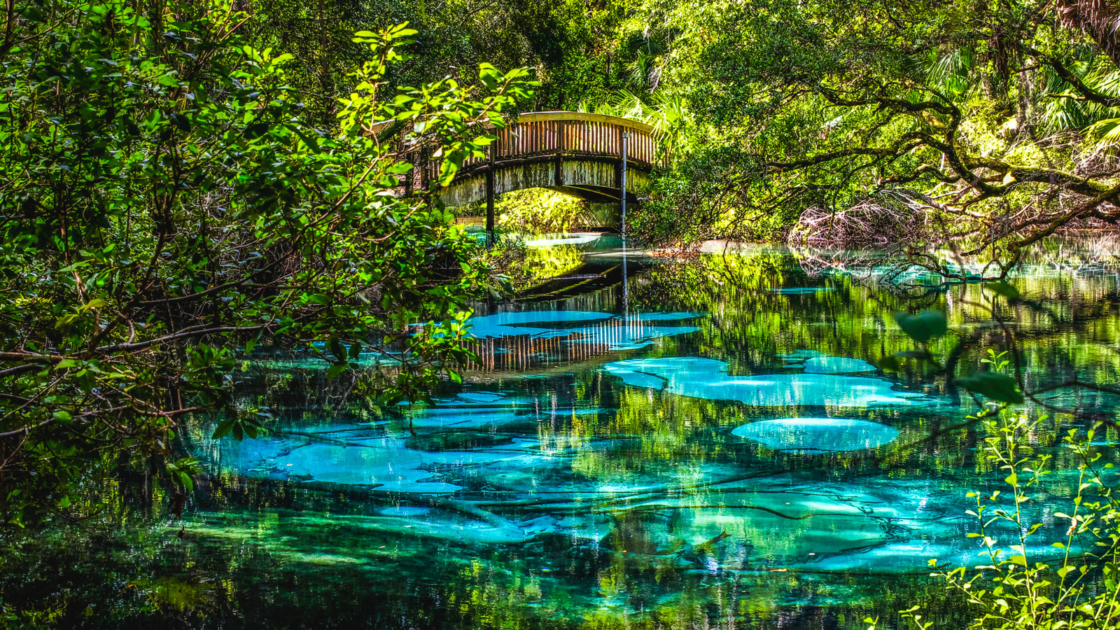 "Rezept für Katastrophen": Florida möchte aus offensichtlichen Gründen keinen neuen Nationalpark