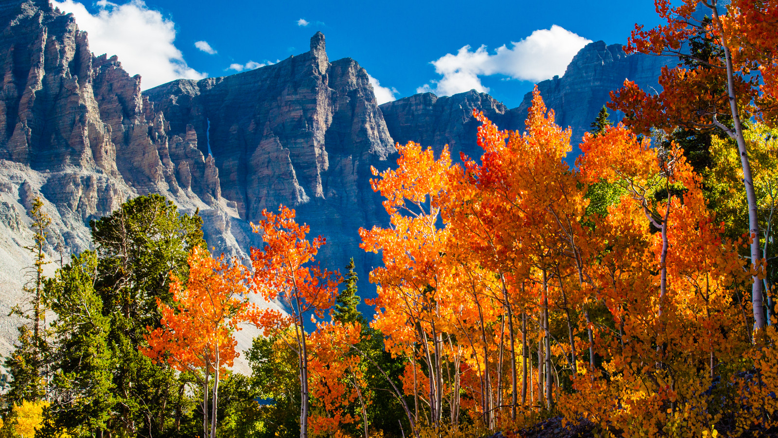 Jeder spricht über Yosemite 