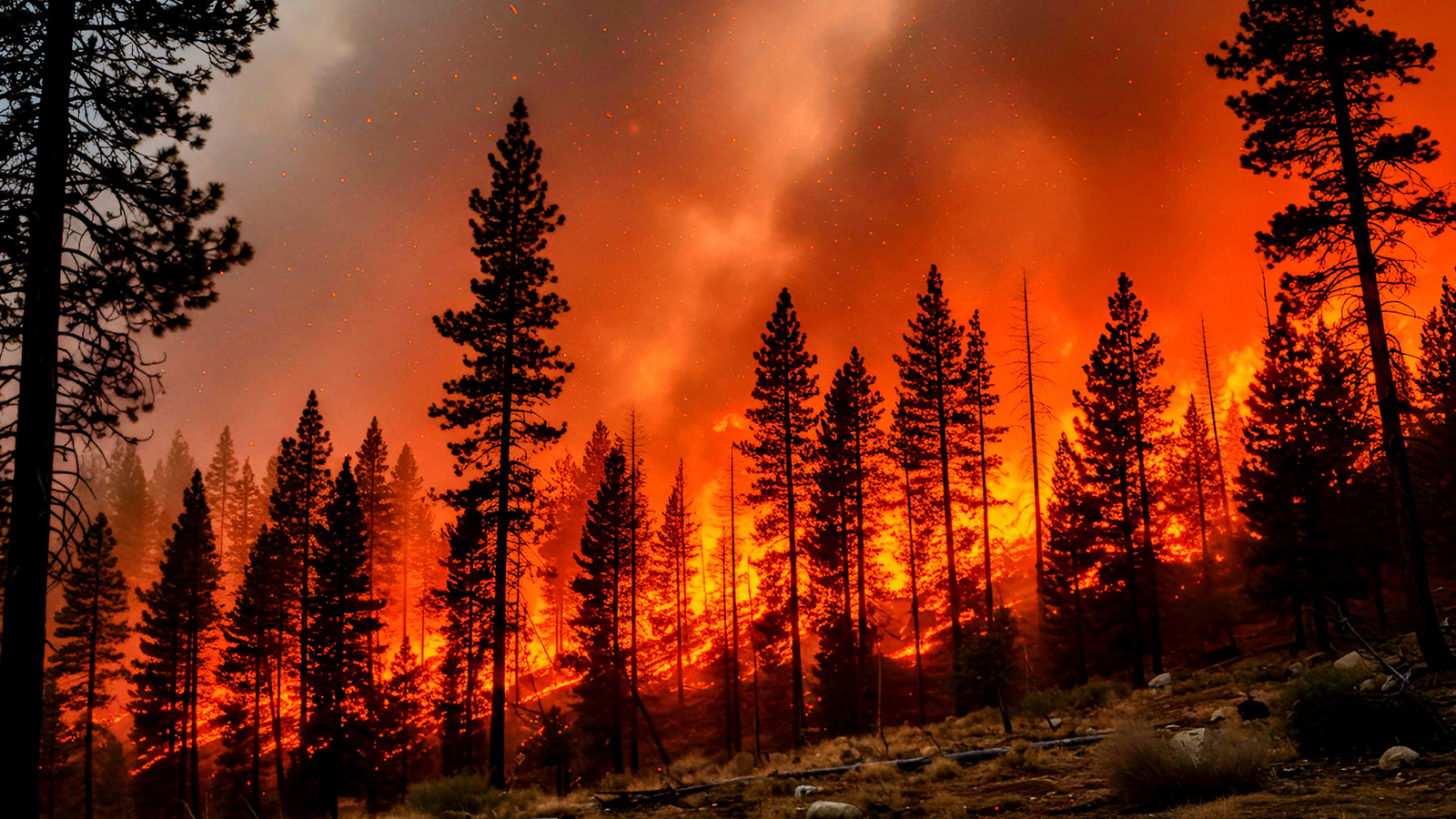"Nicht wieder": Ein weiterer US 