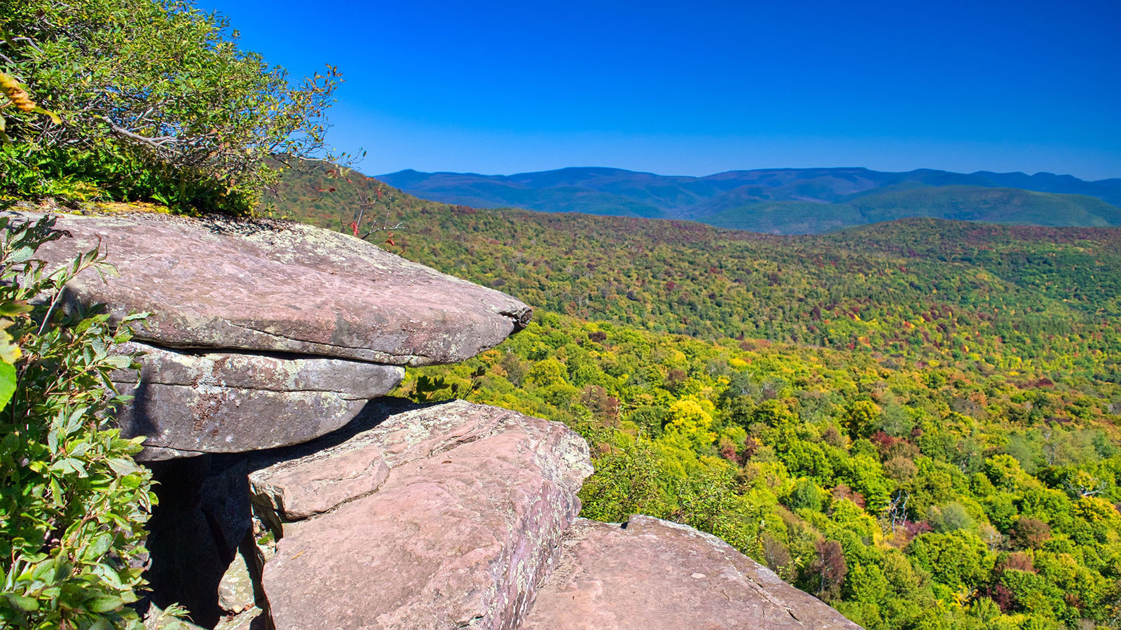 Public Slams Vier Wanderer haben in New Yorks Catskill Mountains gerettet, nachdem sie „Psychedelic Pilz High“ geschwächt hatten, die sich schwächerten.