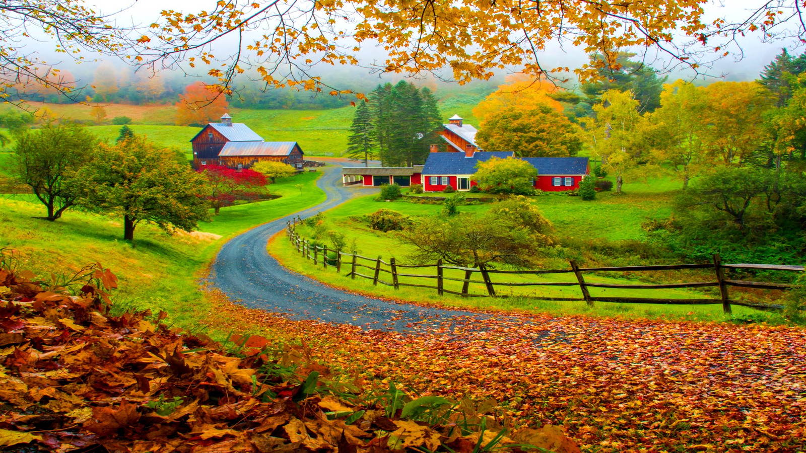 Herbst Laub Countdown: Neue Karte zeigt, wo die Spitzenfarbfarben vor dem Erscheinen sehen können