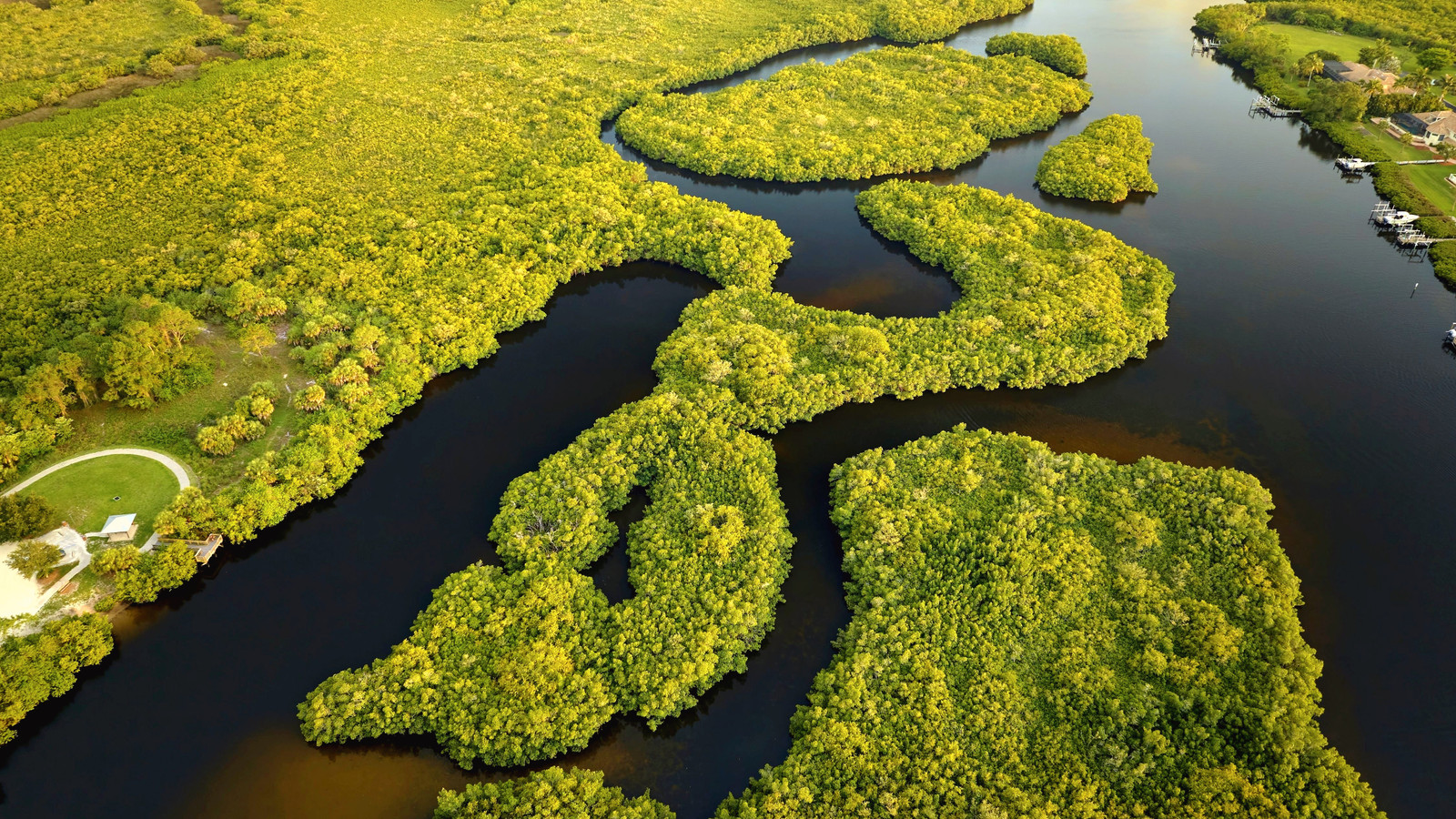 »Gut zu sehen, dass jemand Mut hat: 'Richter befiehlt radikale Änderungen an der kontroversen Einrichtung, um die Florida Everglades zu schützen