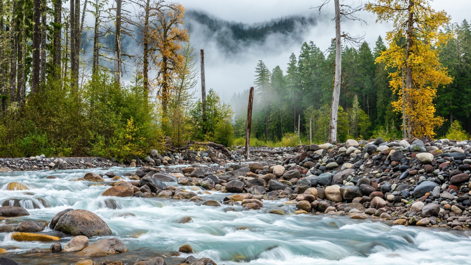 Mount Rainier verschwindet vollständig, als National Park Service Touristen von Wegen für ihre eigene Sicherheit verbietet