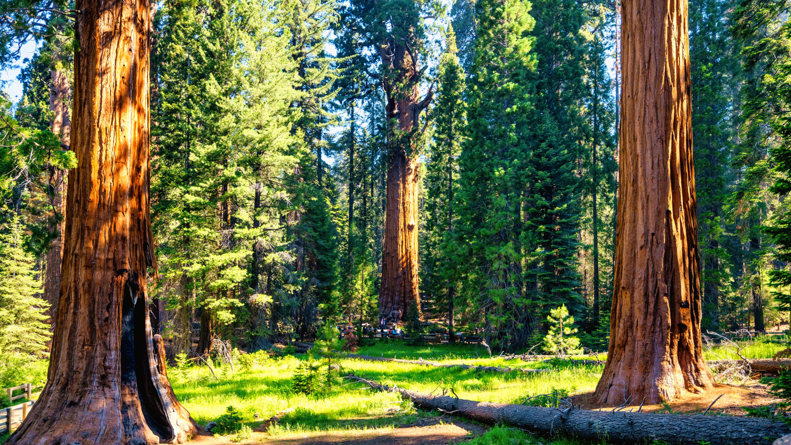 Der kalifornische Nationalparkdienst bräut schließlich den Schuldigen, der Giftmüll im geliebten Park ausspuckt