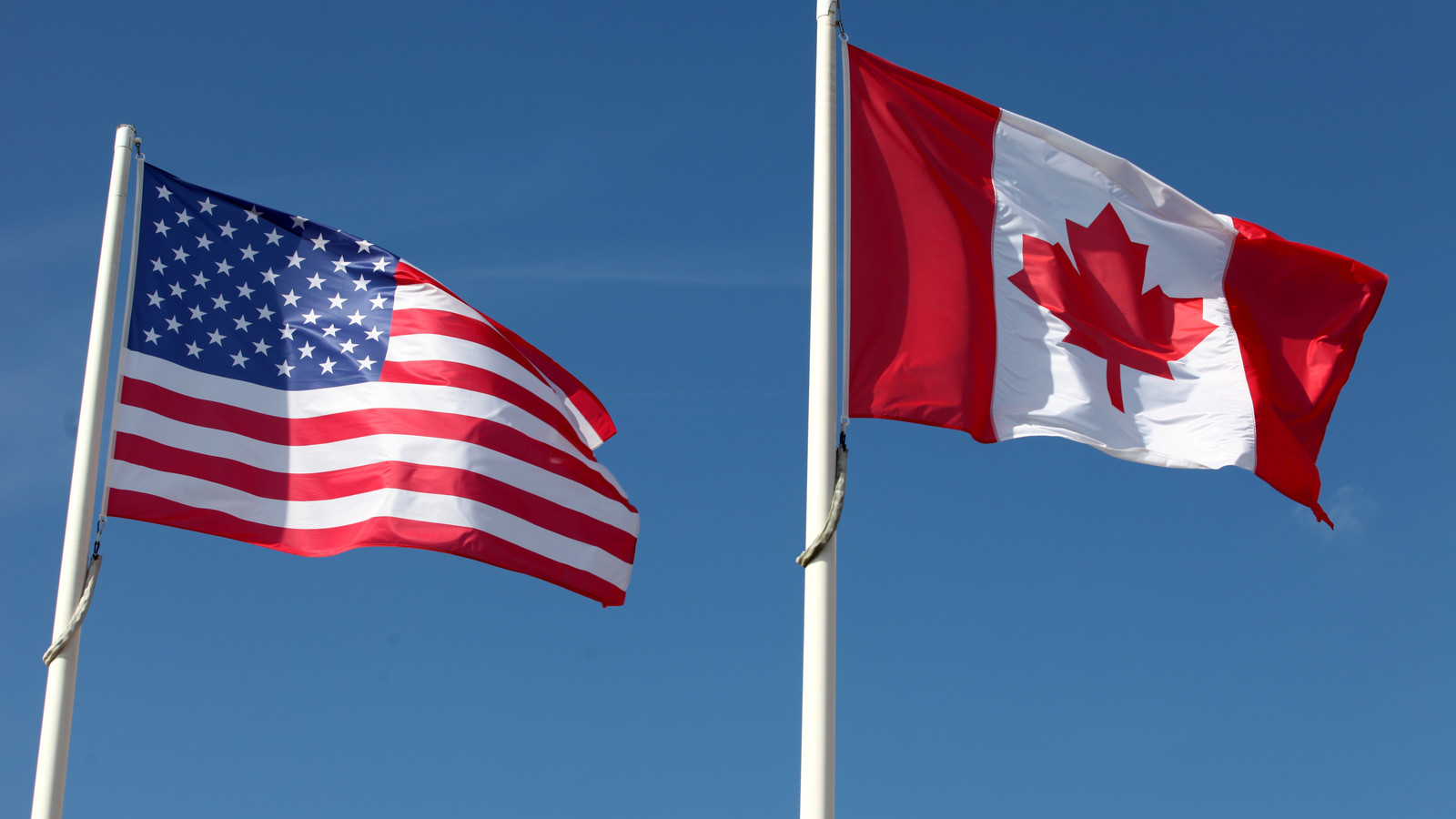 Kanadier vermeiden Buffalo 