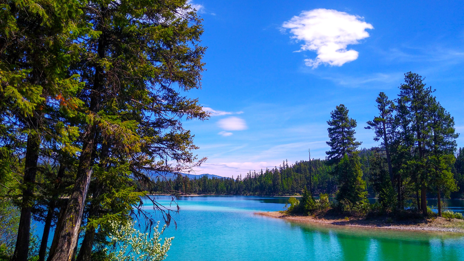 Entdecken Sie den Montana State Park, der genauso atemberaubend wie Gletscher ist