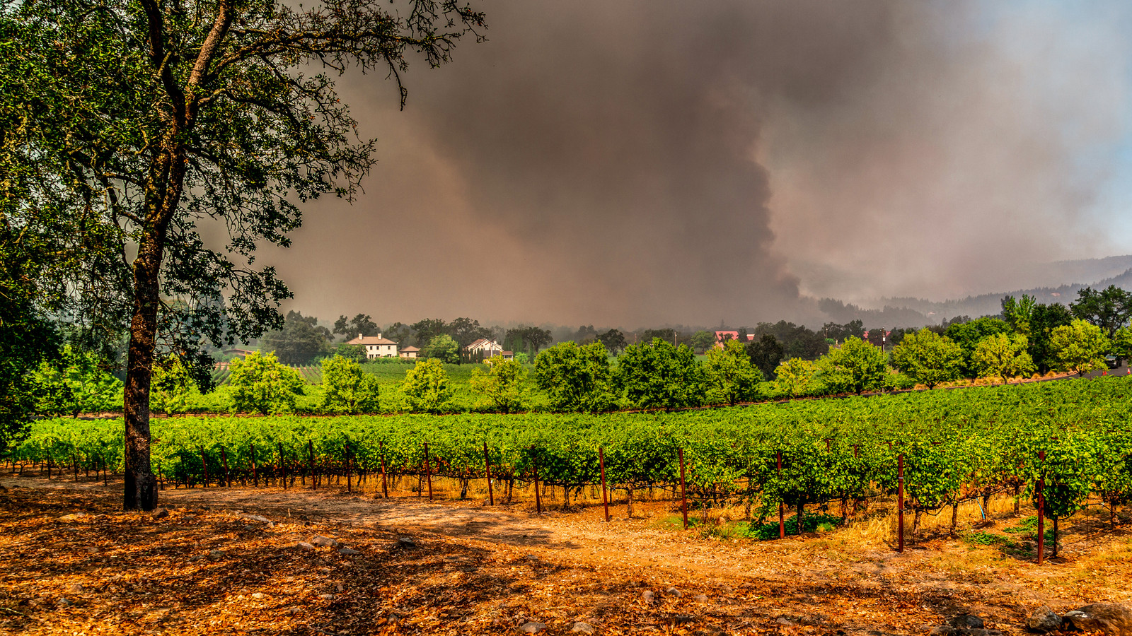 Reisende und Einheimische evakuieren kalifornischer Touristenregion aufgrund fortgesetzter Flammen