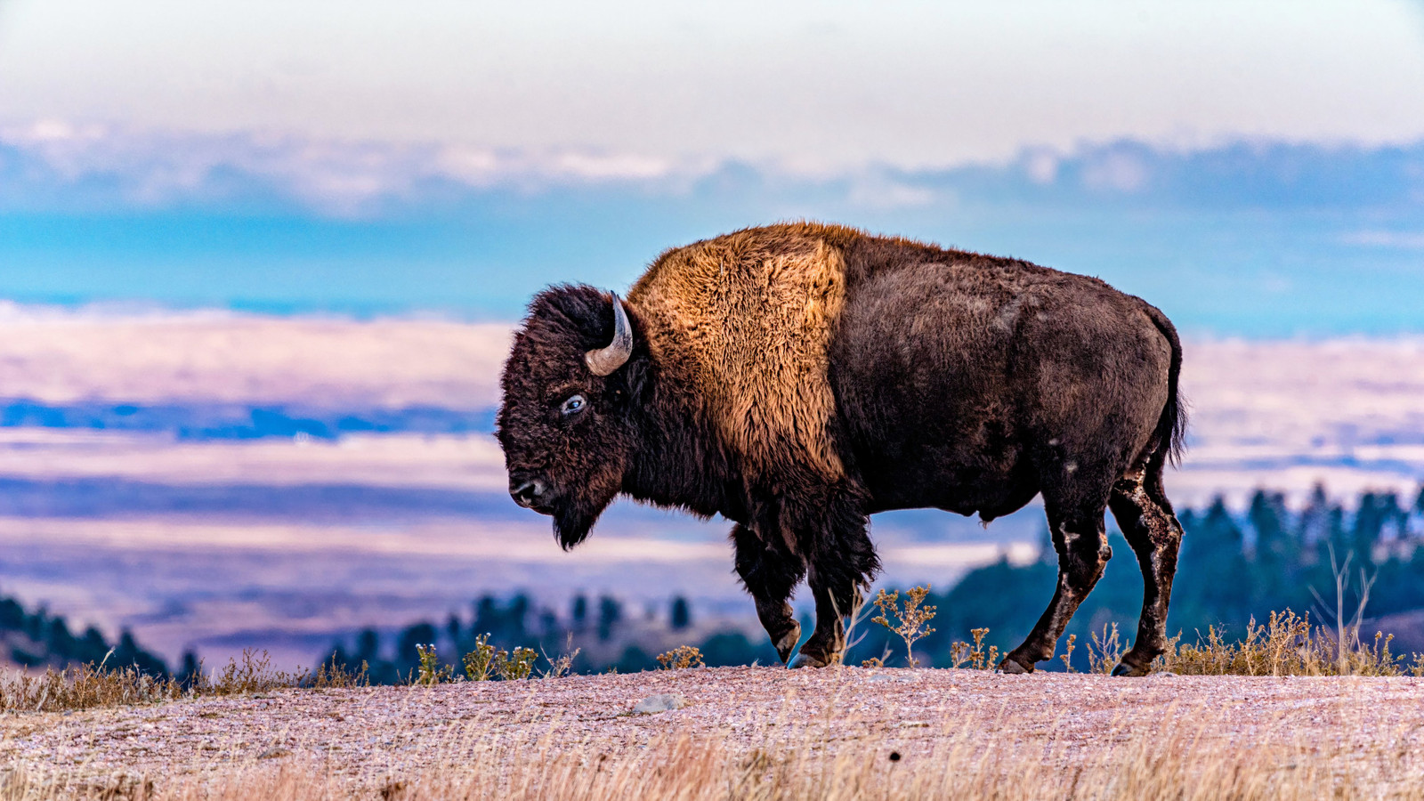 Dieser wenig bekannte South Dakota-Nationalpark konkurriert mit den epischen Landschaften, spektakulären Sonnenuntergängen und mehr