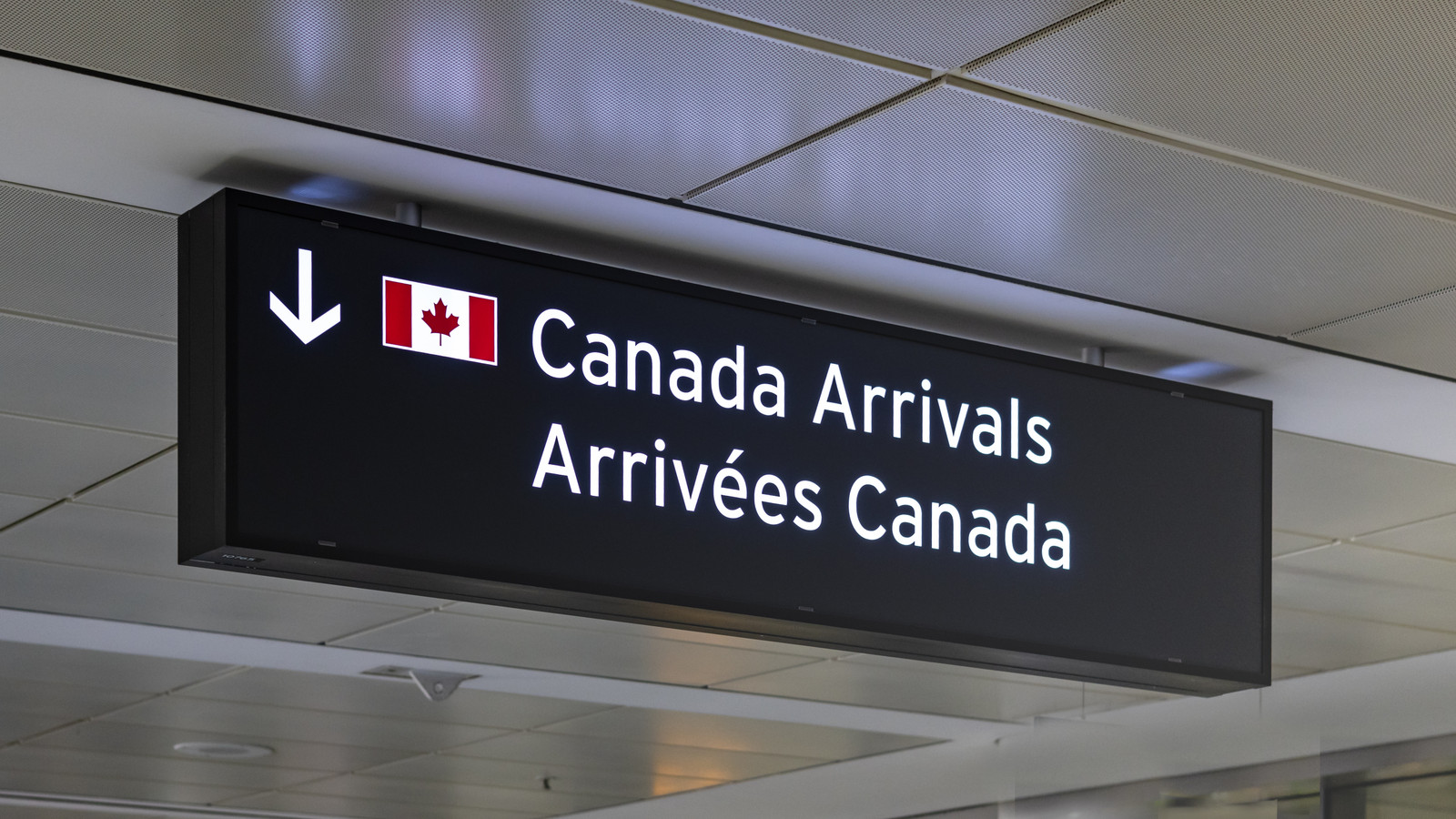 Kanadier frustriert, als die neue Technologie der KI 