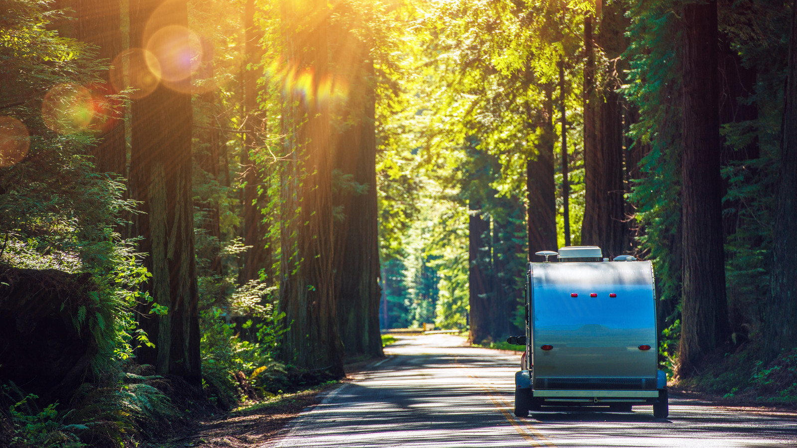 Der California National Park fordert die Öffentlichkeit auf, einen mysteriösen Besucher zu finden, der die große Herrschaft gebrochen hat
