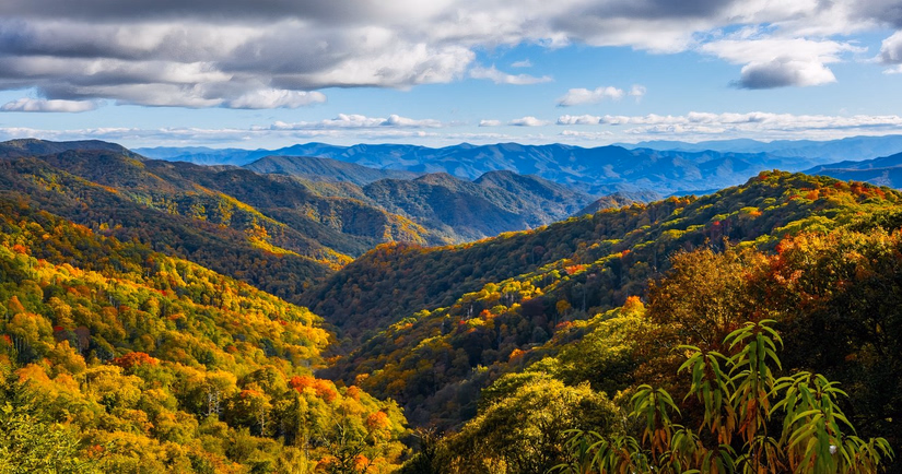 Der Great-Smoky-Mountains-Nationalpark bleibt für 80.000 US-Dollar pro Woche geöffnet, aber die Dienstleistungen sind begrenzt und die Ranger skeptisch