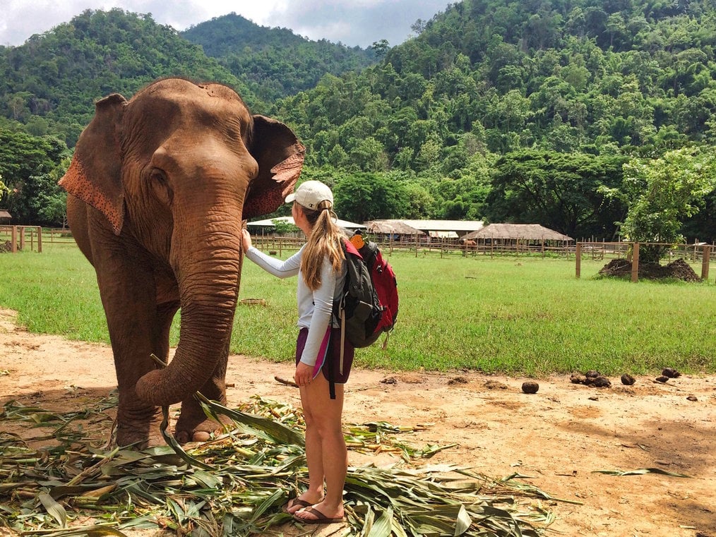 Versteckte Freiwillige im Ausland Gebühren, auf die Sie achten müssen