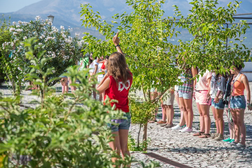 So setzen Sie Ihre Freiwilligenerfahrung im Ausland in einen Lebenslauf ein