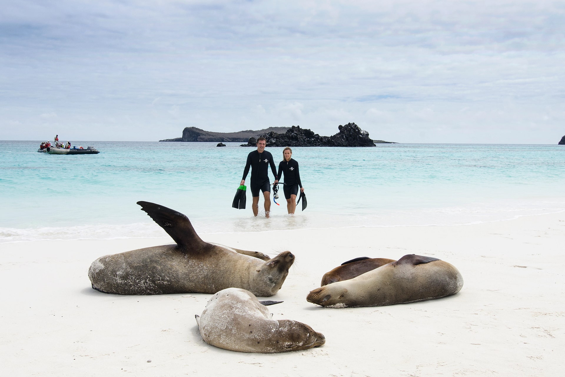Beste Zeit, um die Galapagos zu besuchen