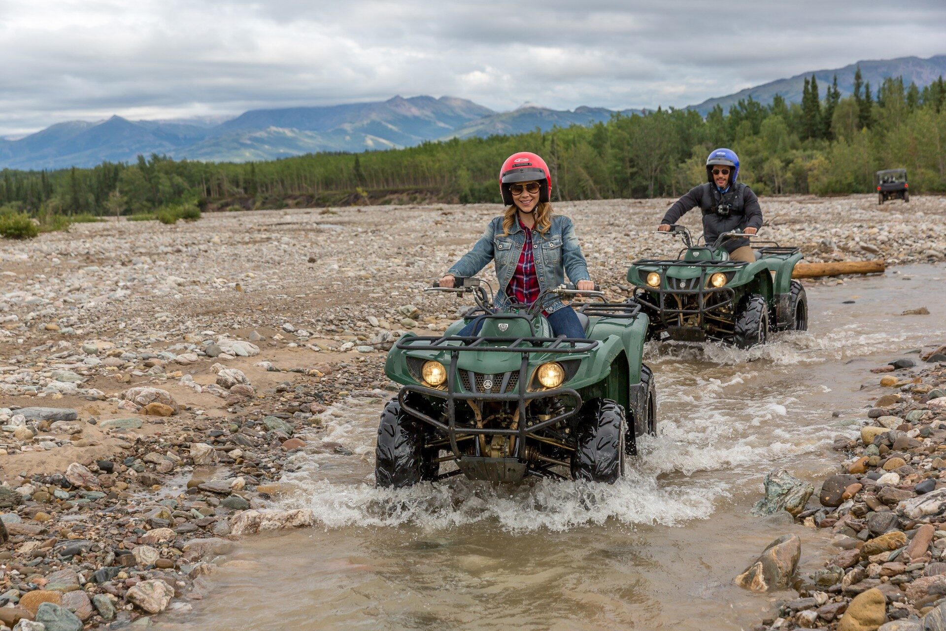 20 Muss Erfahrungen in Alaska