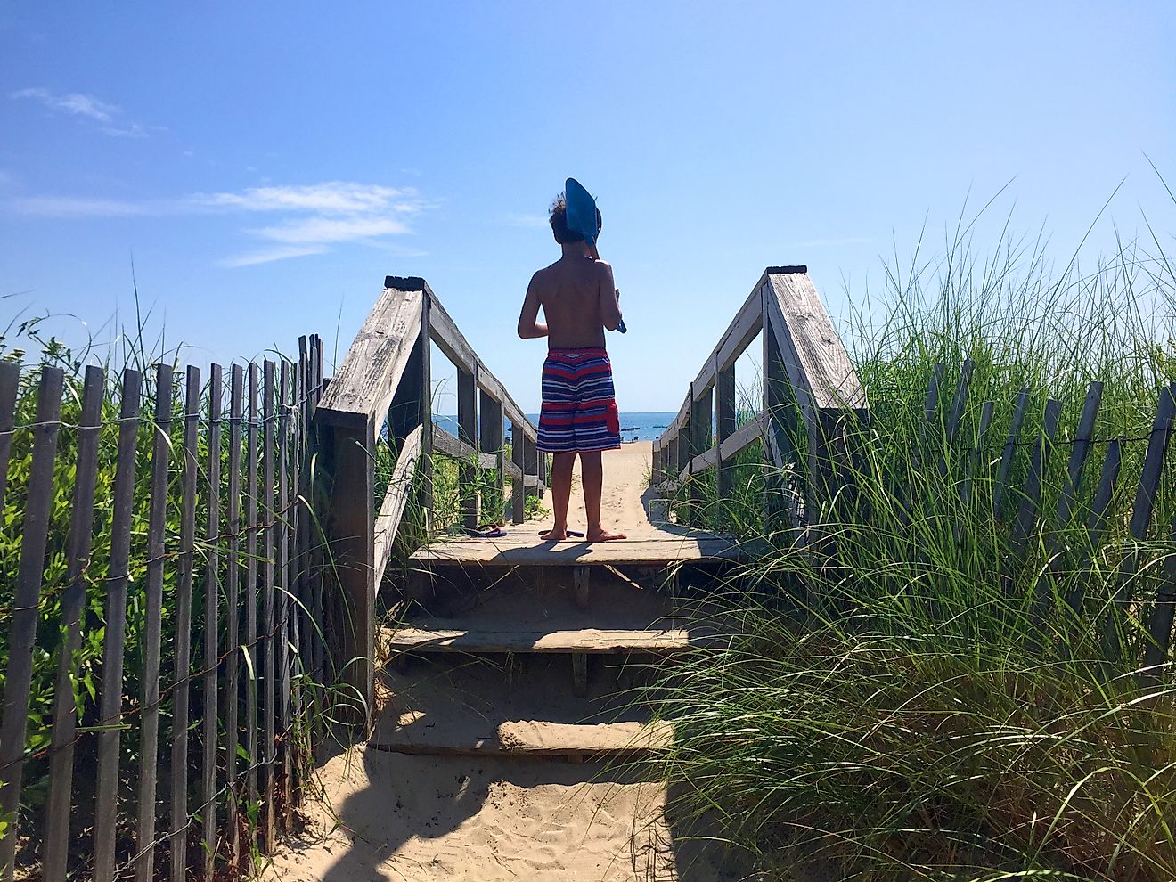 7 malerischste Laufwerke in Delaware