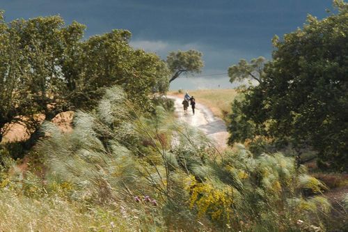 Food &amp; Getränkern mit den Pata Negras: Ein Roadtrip, um den teuersten Schinken der Welt zu schmecken