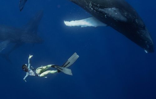 Inspirationschattierung mit Kristin von Be My Travel Muse