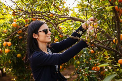 Inspirationvalencia: Stadt der Künste, Wissenschaft und wegweisende Klimapraktiken