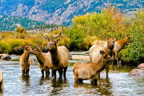 Inspiration13 Gründe, warum Colorado Amerikas schönster Zustand ist