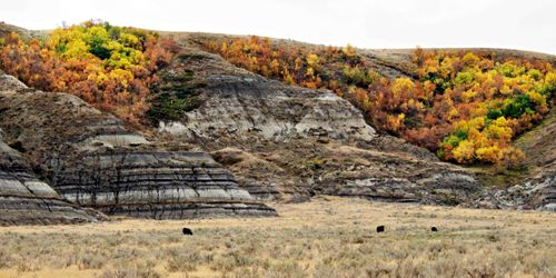 Essen &amp; trinken Saskatchewan Essen zum Gedanken