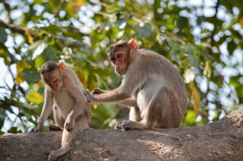Wo man verantwortungslosen Reisen bleibt 