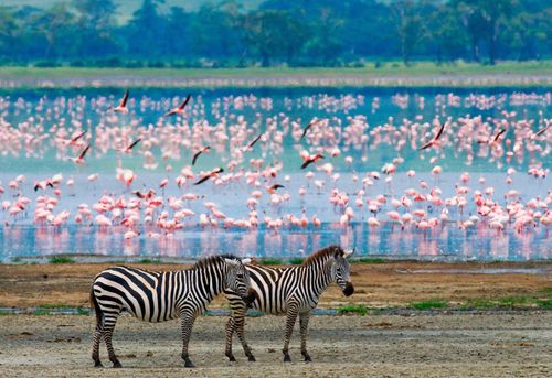 Inspirationsbeste Dinge in Tansania zu tun