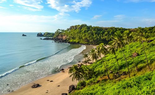 Travel Readinggoa im August: Wetter- und Reise 