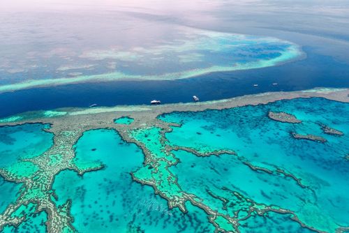 See &amp; Doa Rough Guide zu: Besuchen Sie Australiens Great Barrier Reef