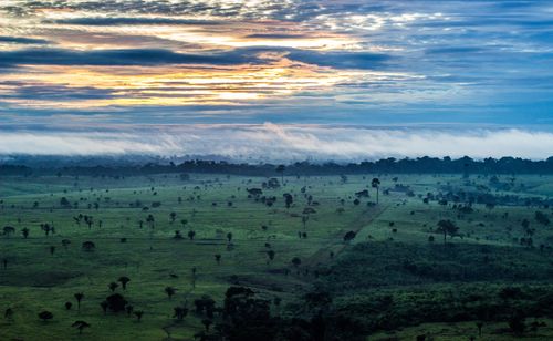 Sehen &amp; do10 unvergessliche Dinge im Amazonas, Brasilien, zu tun