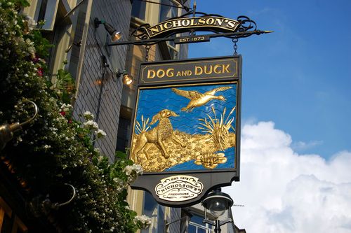 Food &amp; Getränkebrilliant 