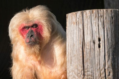 InspirationTop Fünf Wildtiererfahrungen für Kinder