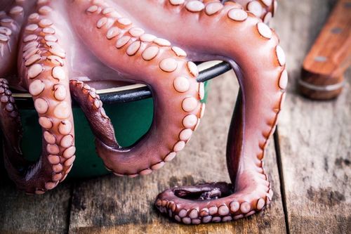 Food &amp; Drink13 der bizarrsten Lebensmittel aus der ganzen Welt